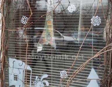 Naujųjų metų langų dekoravimas Kaip pasigaminti muilo tirpalą dekoracijoms ant langų klijuoti